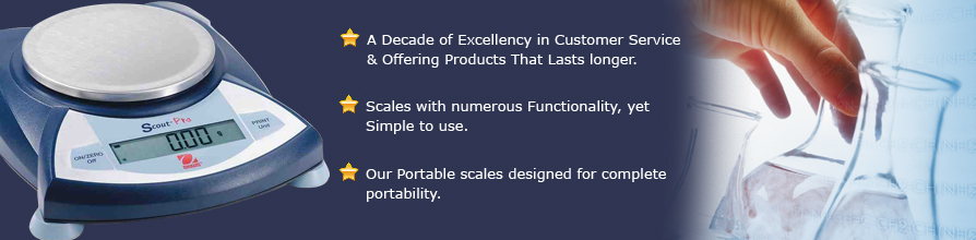 Maxsell Scales