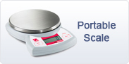 Weighing Scale,Weighing Scale Dealer,Weighing Scale Manufacturer,Weighing Scale in India